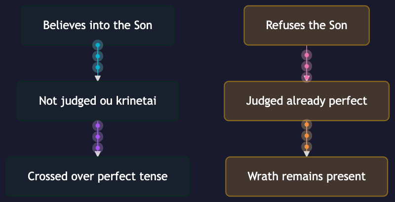 Animated John 3 verdict tenses